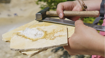 Highlights Naturpark Altmühltal-Heimat des Urvogels Archaeopteryx